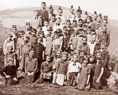 Školska djeca Bukovica 1952. pošumljavanje numerirana
