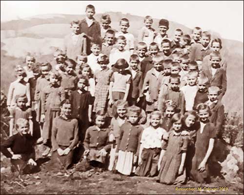 Školska djeca Bukovica 1952. pošumljavanje